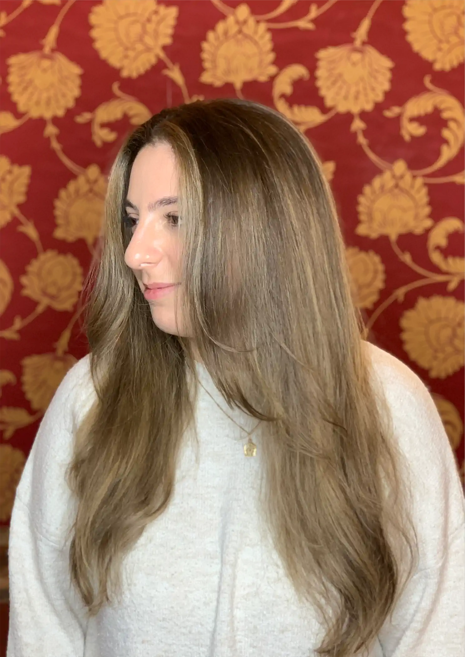 Natural Balayage & Long Layered Cut