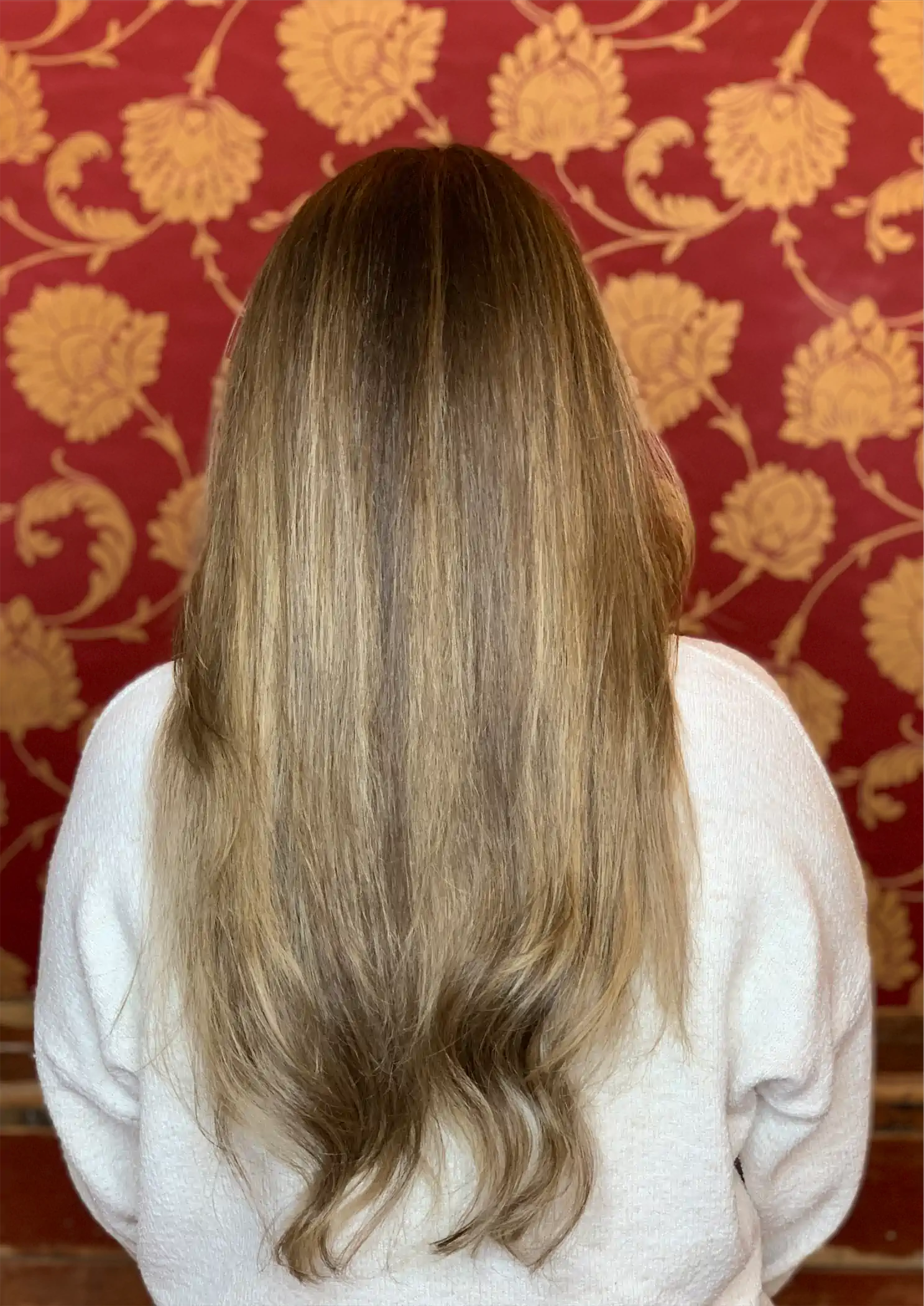 Natural Balayage & Long Layered Cut