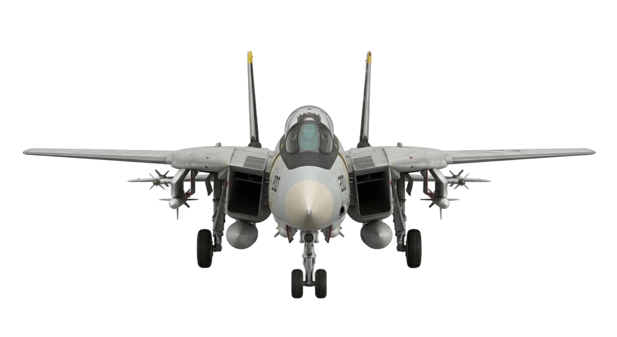 Grumman F-14 Tomcat - Front