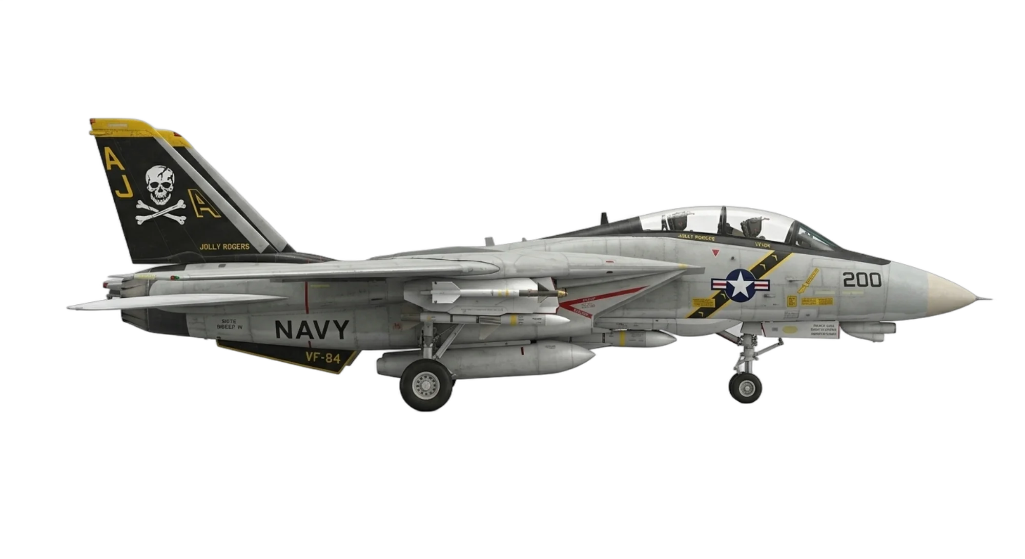 Grumman F-14 Tomcat - Profile