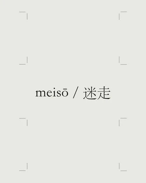Meiso