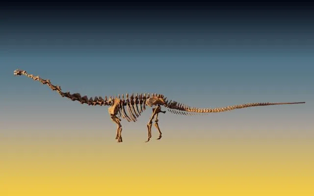 Dinosaurs of Patagonia