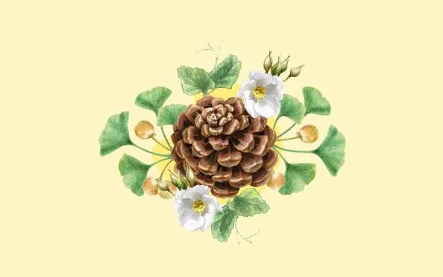 Familia: Taller de ilustración científica: El Jardín Vertical