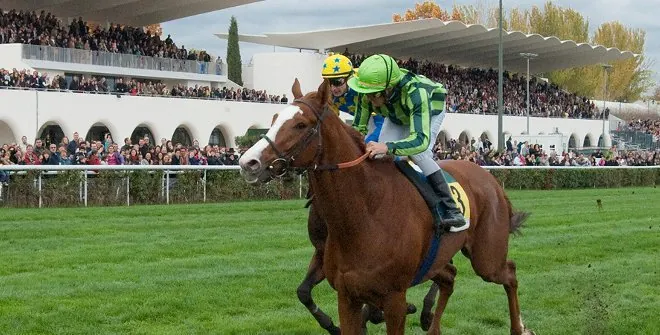 Horse Racing: 2026 Season