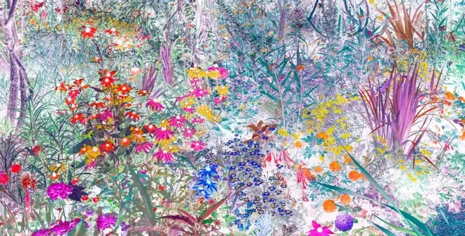 El jardín revelado. José Quintanilla