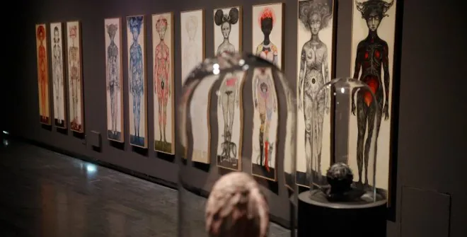 Wunderkammer. Ana Juan