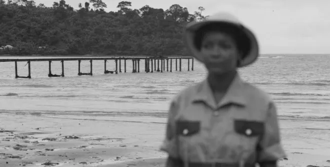 Hotel of the plundered artefact