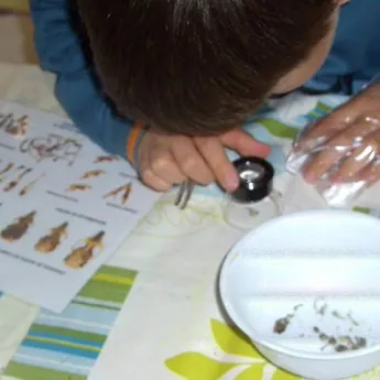 Taller de refugios de fauna