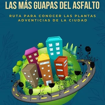 The Most Beautiful Flowers of the Asphalt. Madrid's Spontaneous Flora