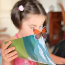 Rolling Stories with Margalida Alberti