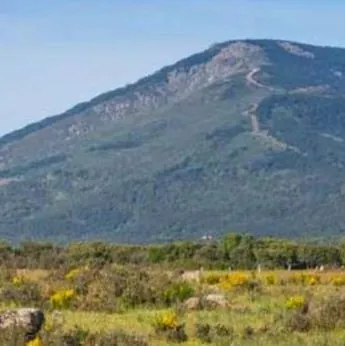 Salida Medioambiental