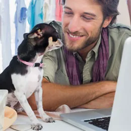 Animal Adoption Fair