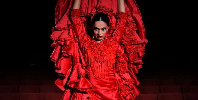 Emotions: Flamenco Show