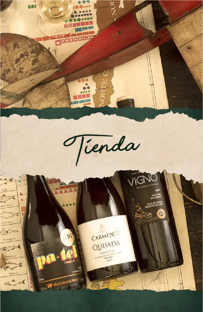 Degustación de Vinos en Bocanáriz