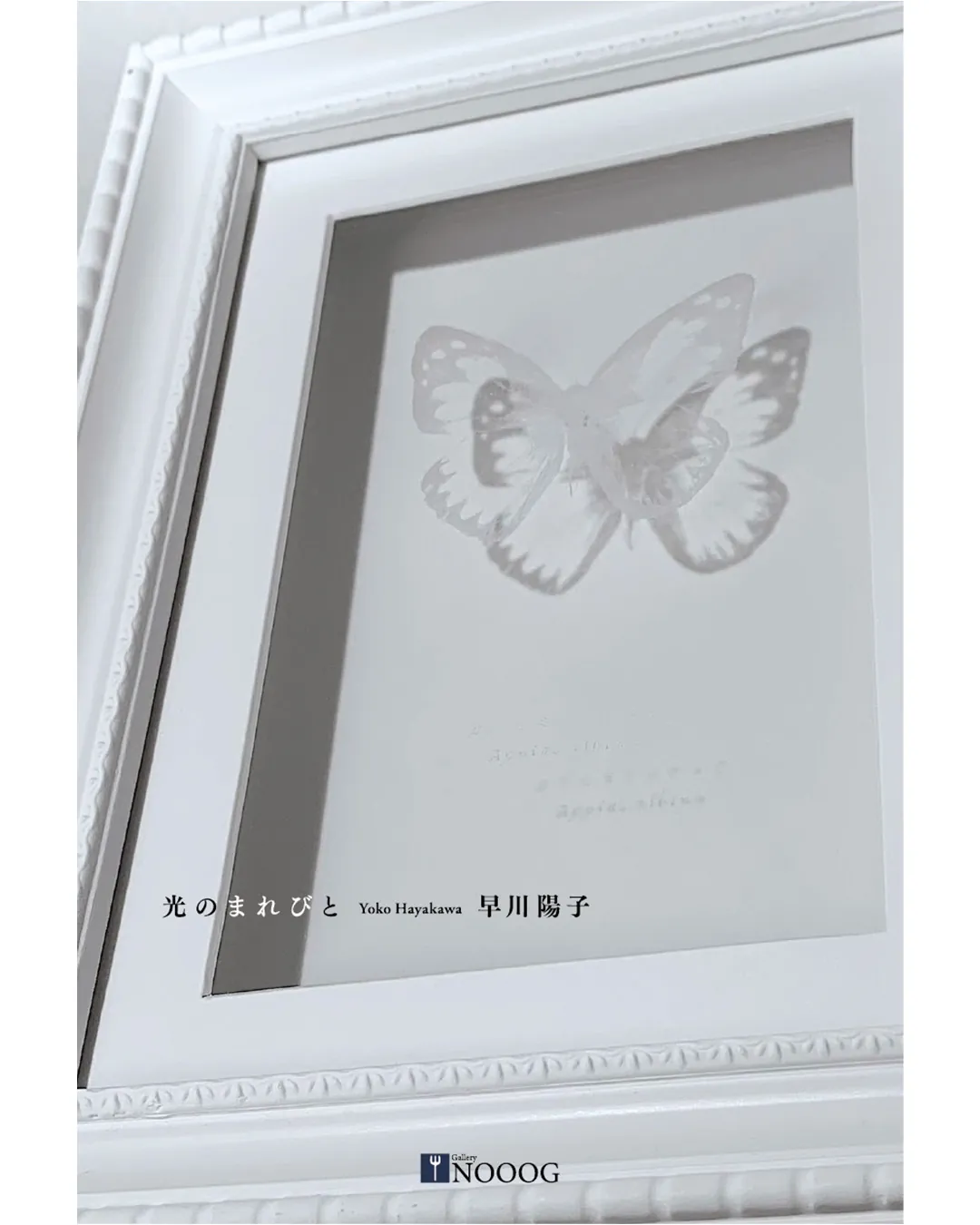 Yoko Hayakawa "Marebito of Light"