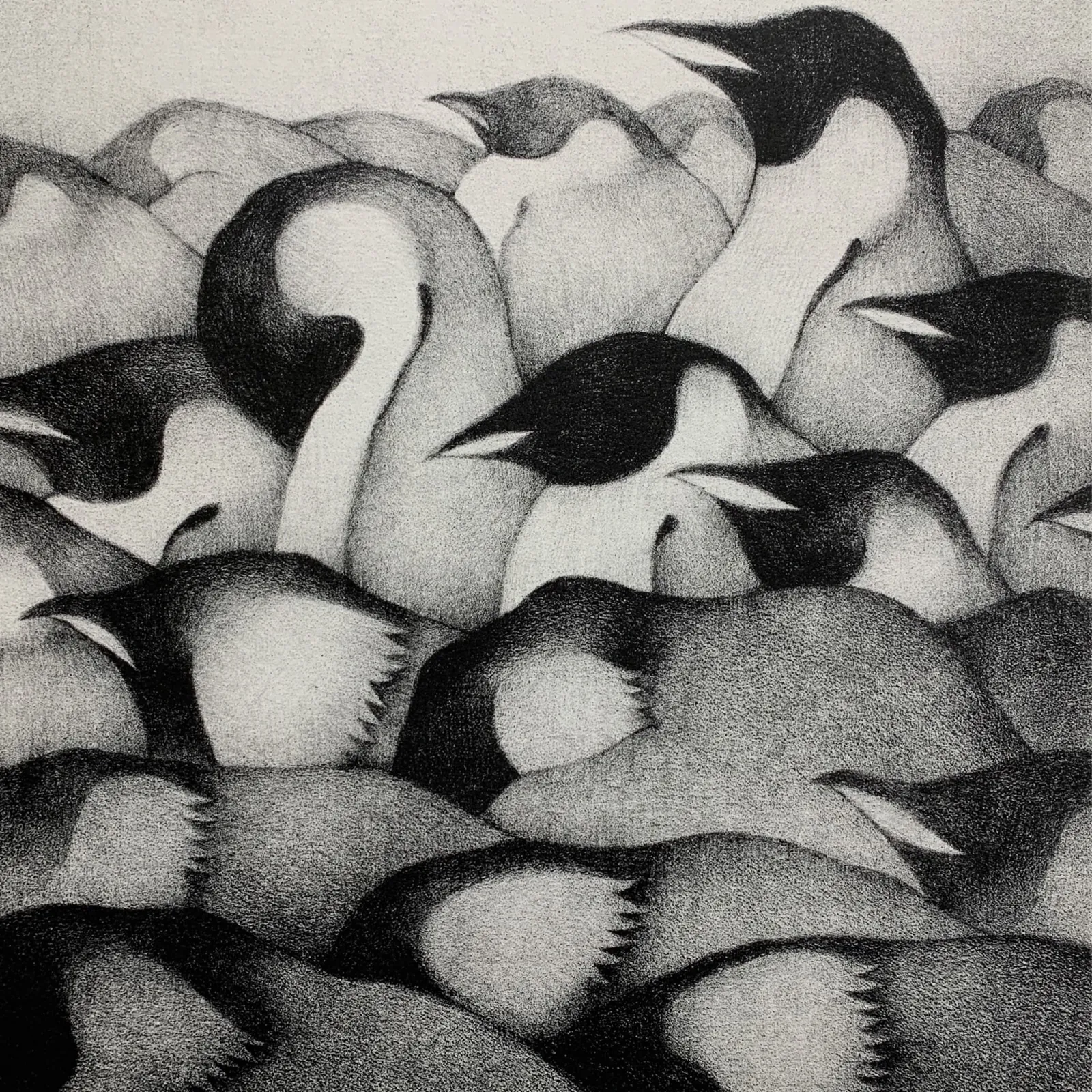 Shoko Kawai "The Birds Are Singing Again Today"