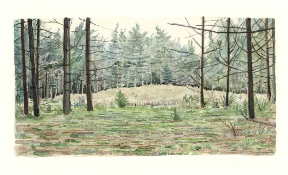 Aaron Joseph Sewards "Sprigs of Time"