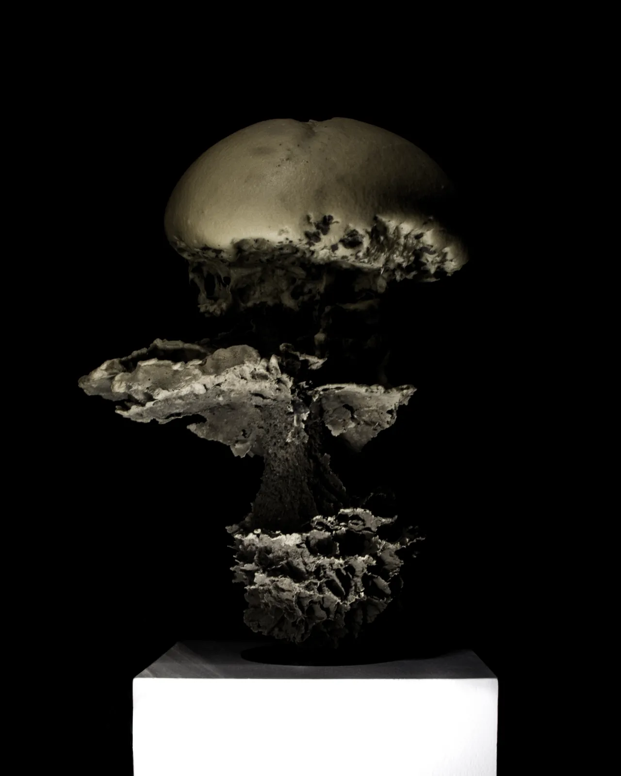 Meta Flower "Drawing Toward Detonation"