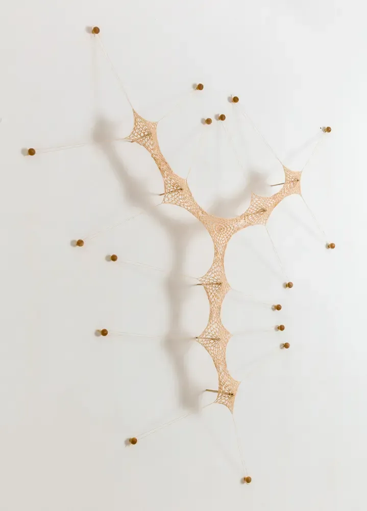 Ernesto Neto "Dreaming Beings"