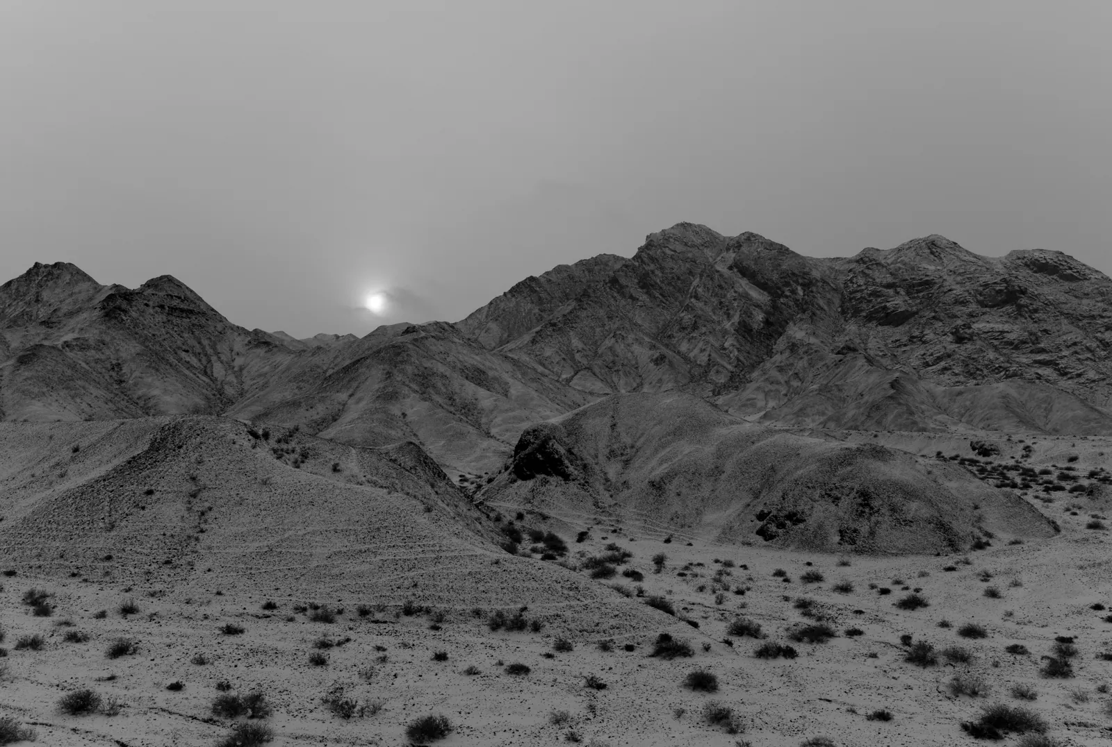 Toshifumi Taniuchi "Lineage"