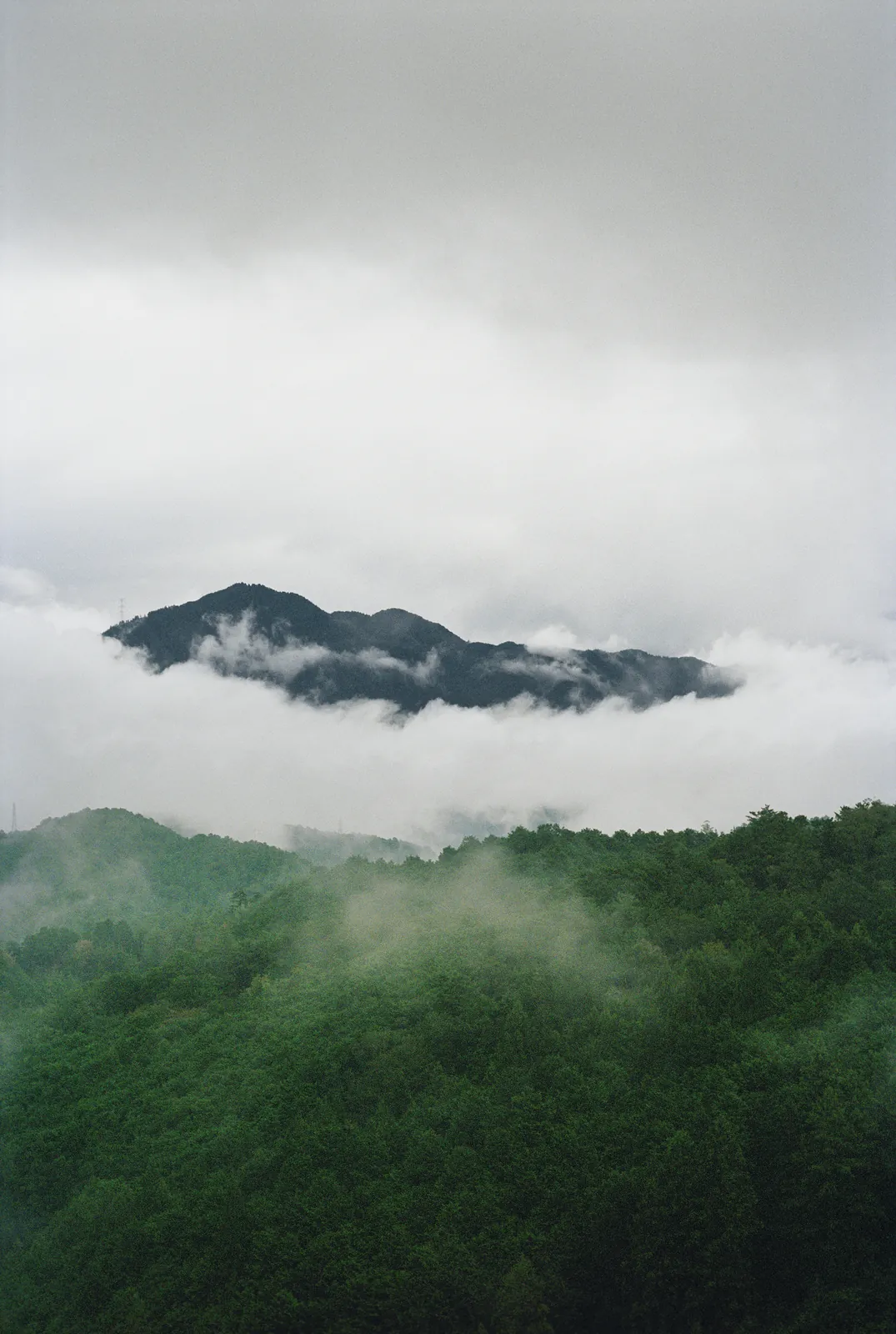 Henry Roy "Devotion"