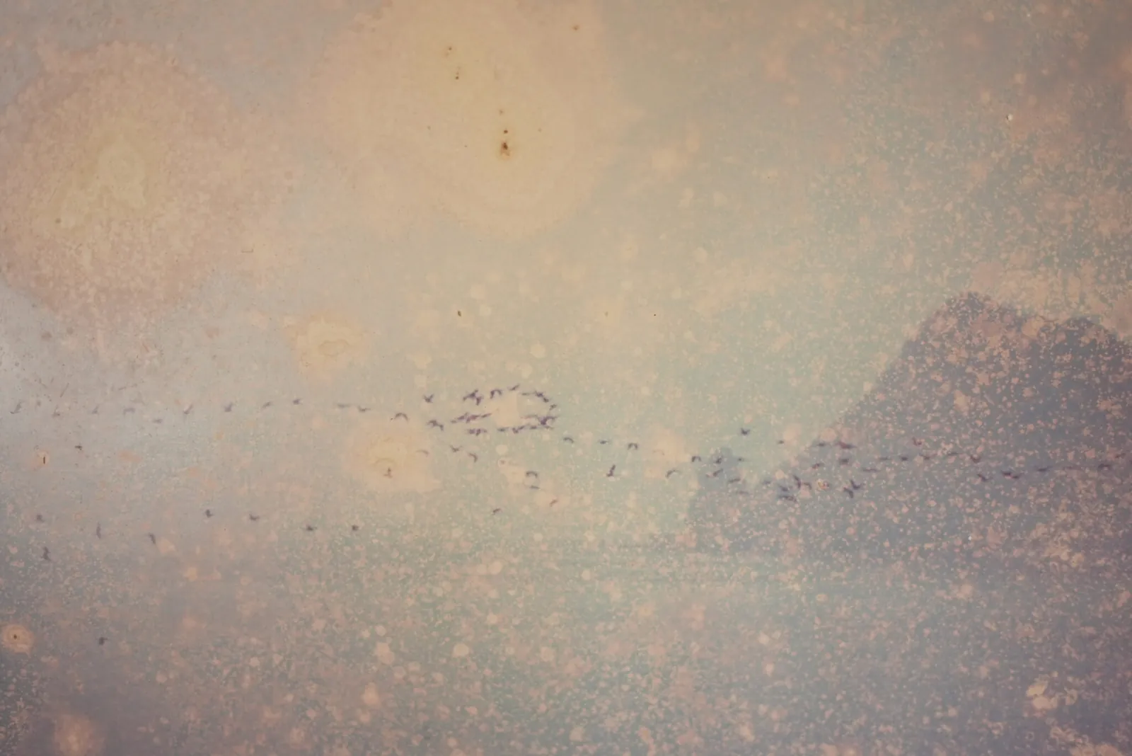 Hwajin Lee Exhibition