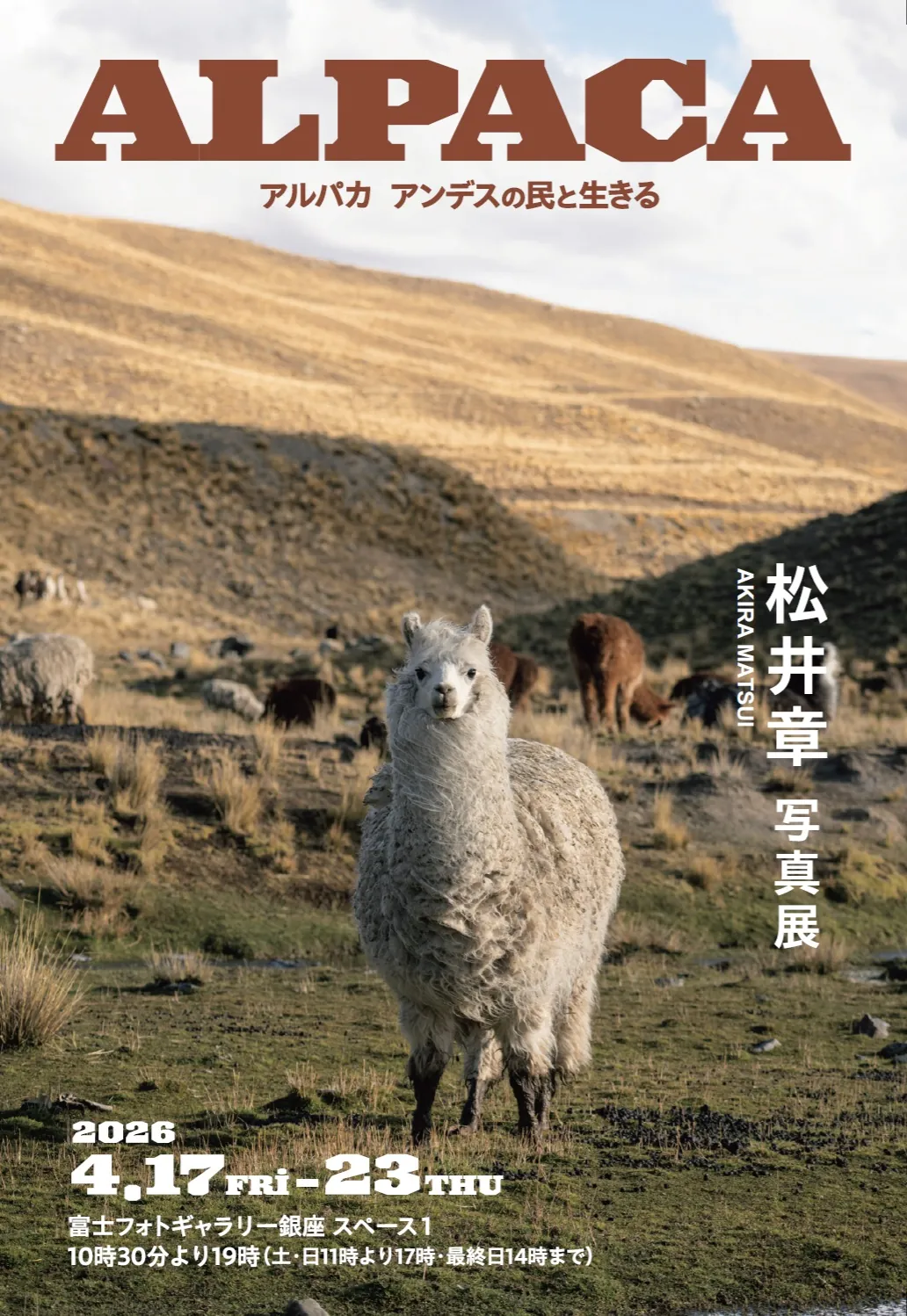 Akira Matsui "Alpaca – Living alongside the People of the Andes"