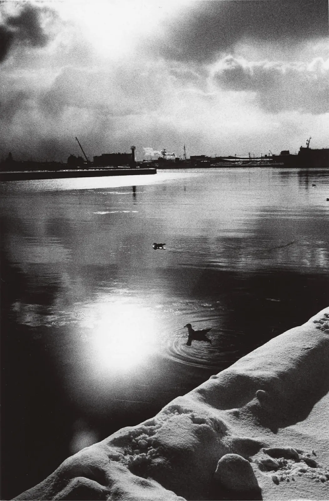 Takehiko Nakafuji "Enter the Mirror 2026"