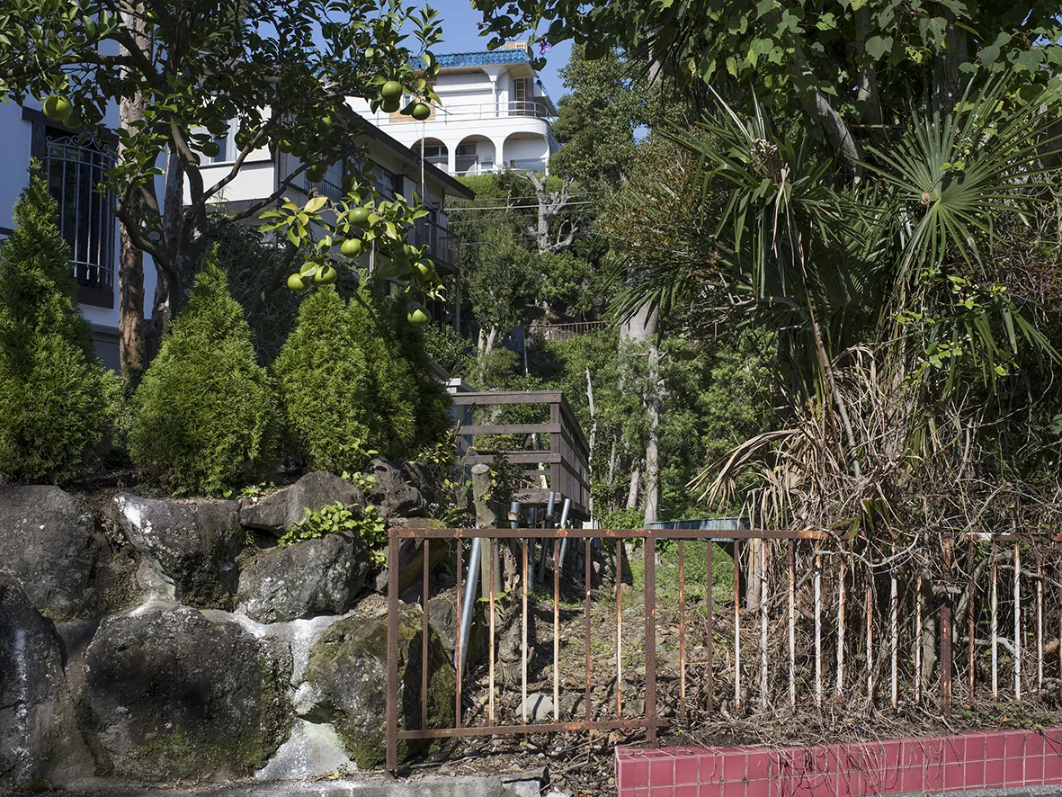 Tamami Terasaki "Landscape Probe:  Interim Report 2024-2025"