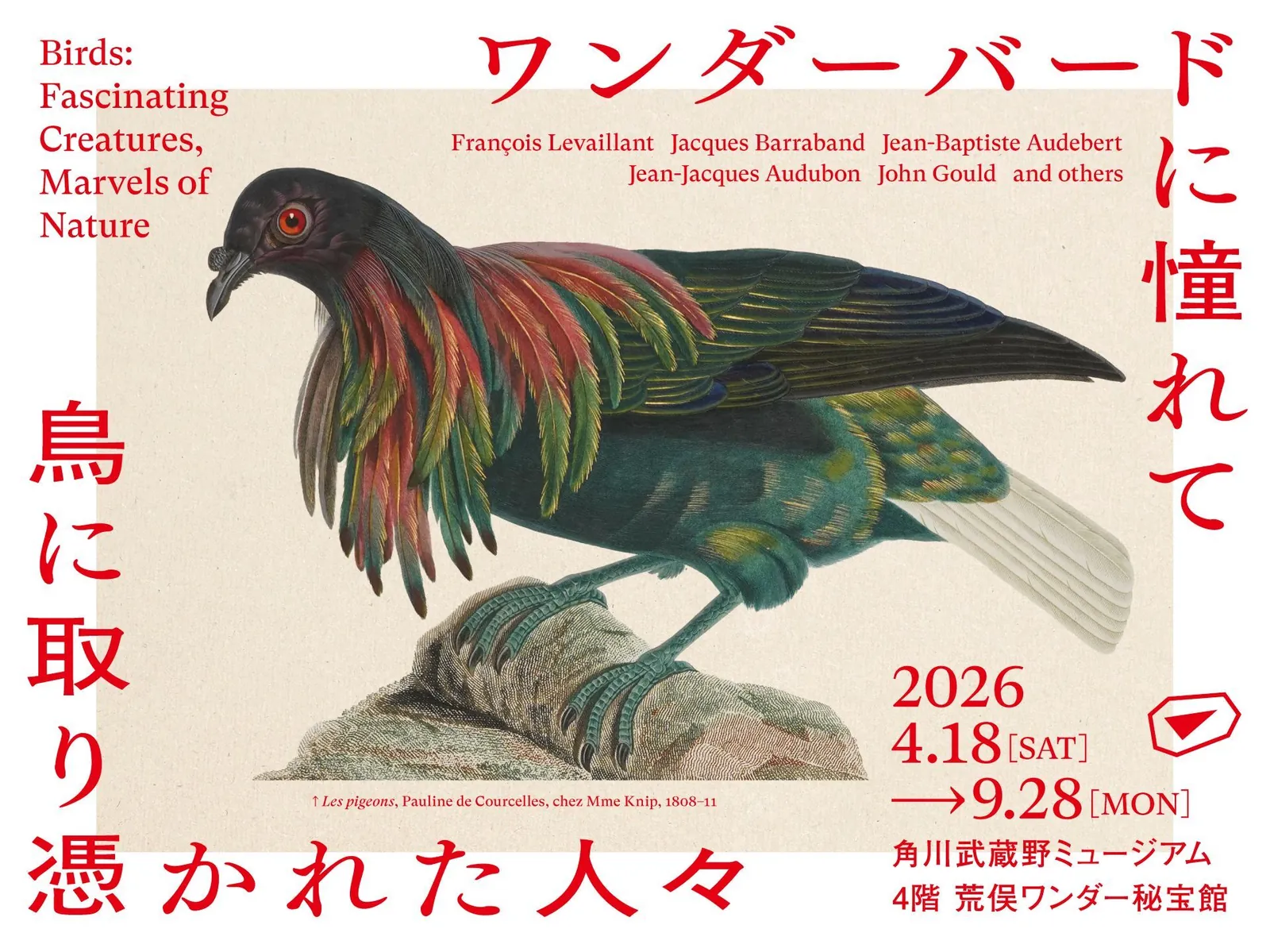 Birds: Fascinating Creatures, Marvels of Nature