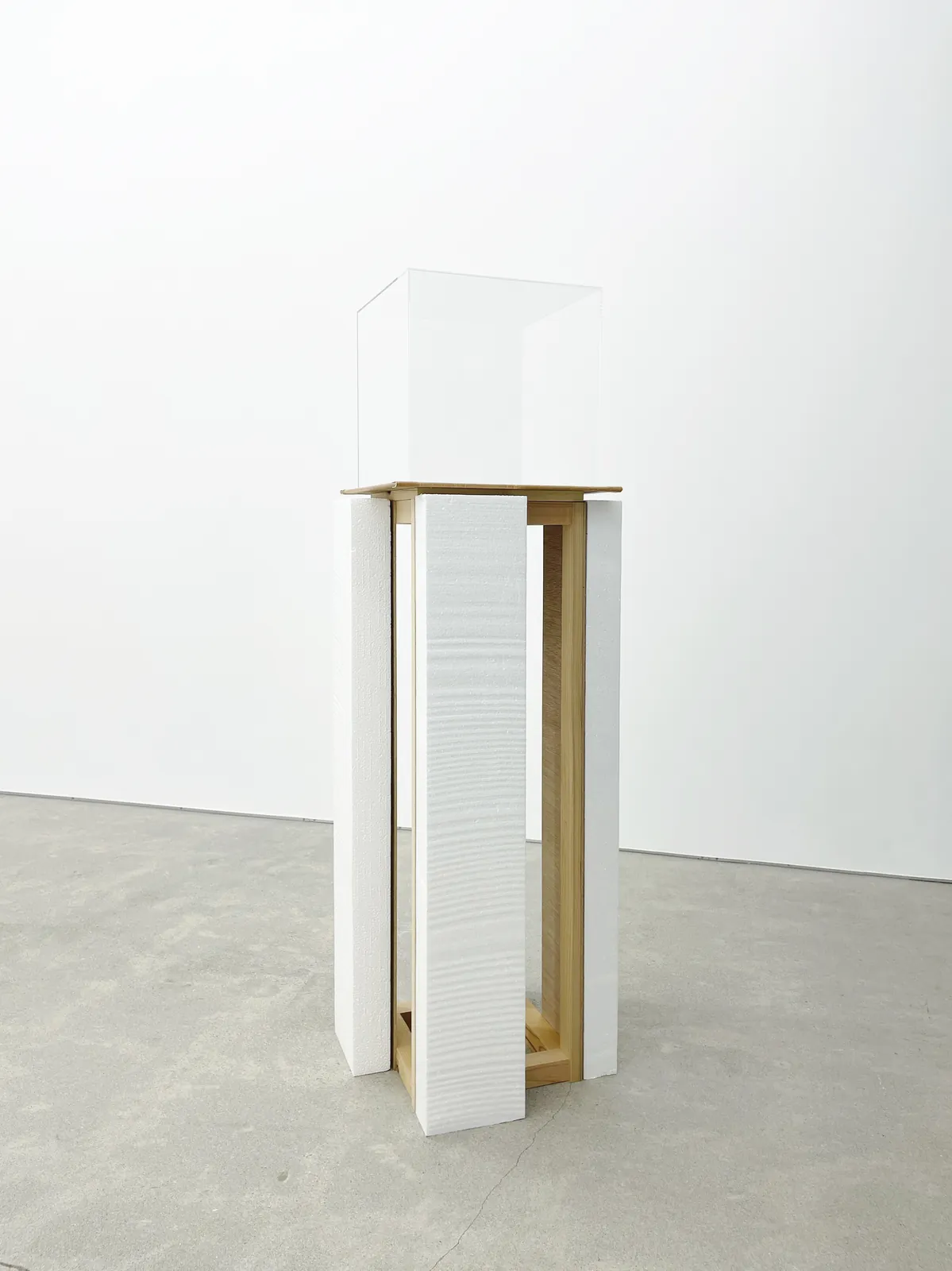 Adam Vít, Hideyo Ohtsuki, Maoya Kishi