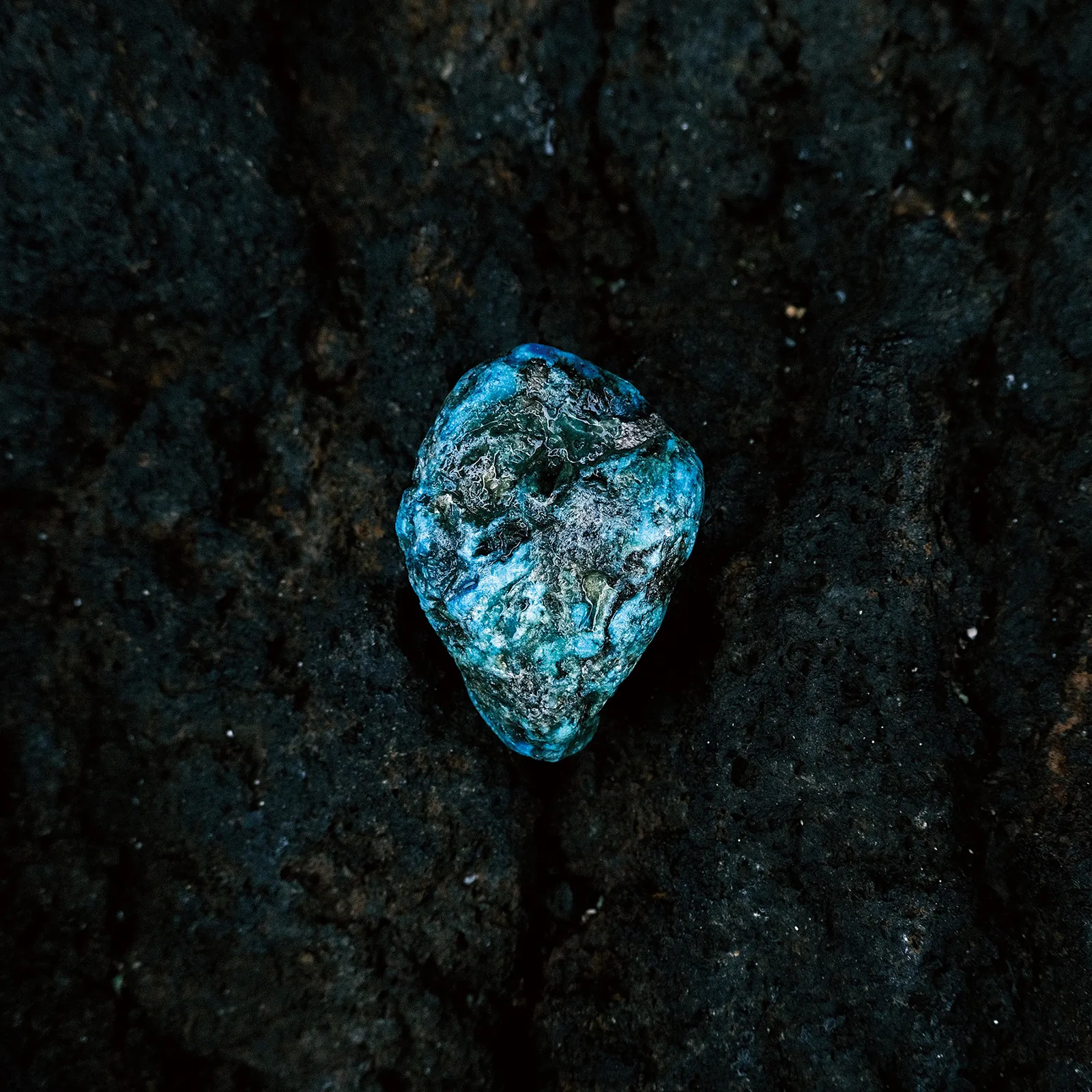 Sari Shibata "Cosmo Plastics"