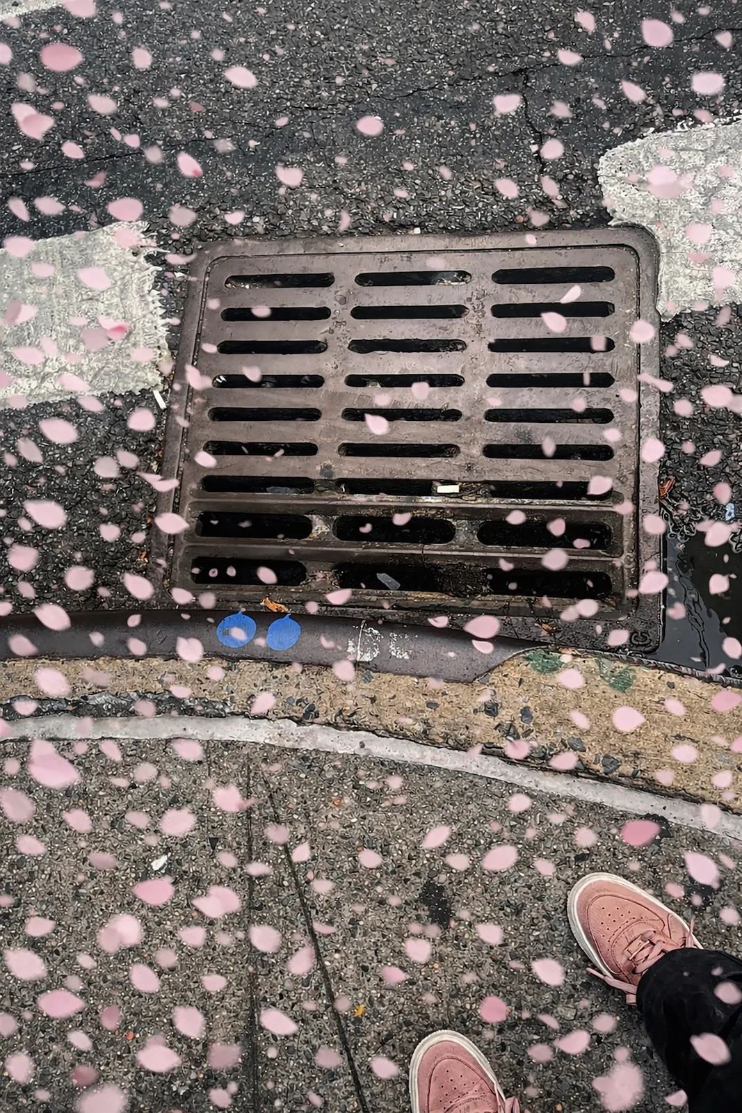 Margaret Lee "All To Bits"