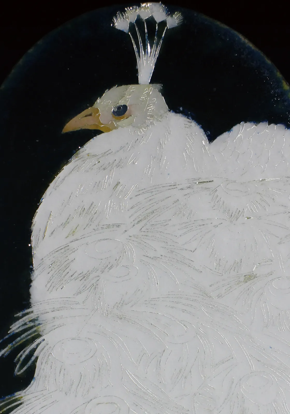 17th Birds Exhibition