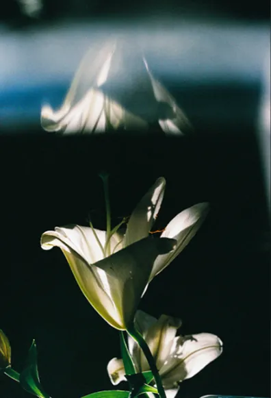 Kanade Hamamoto "ー・・"