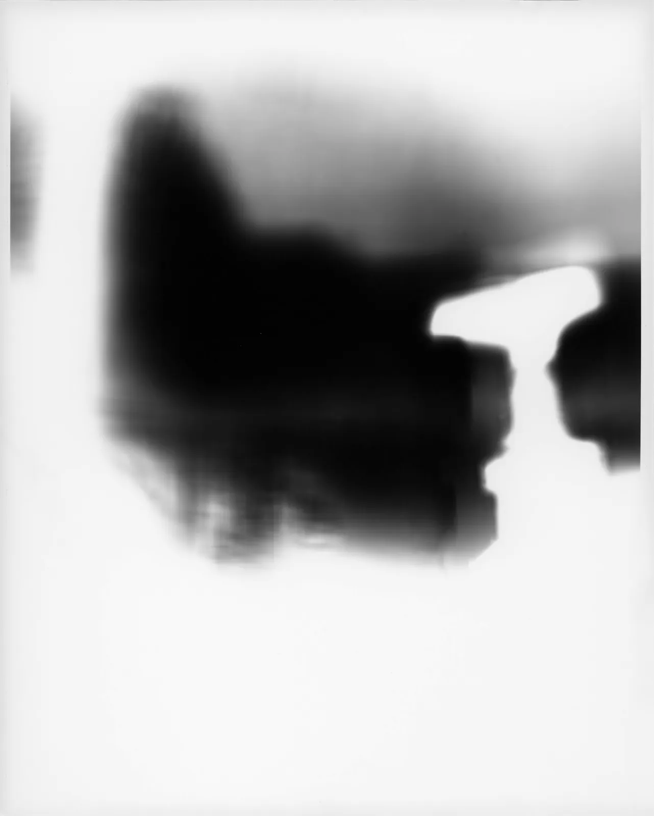 Nozomi Suzuki "Words of Light — Practices of Translation"