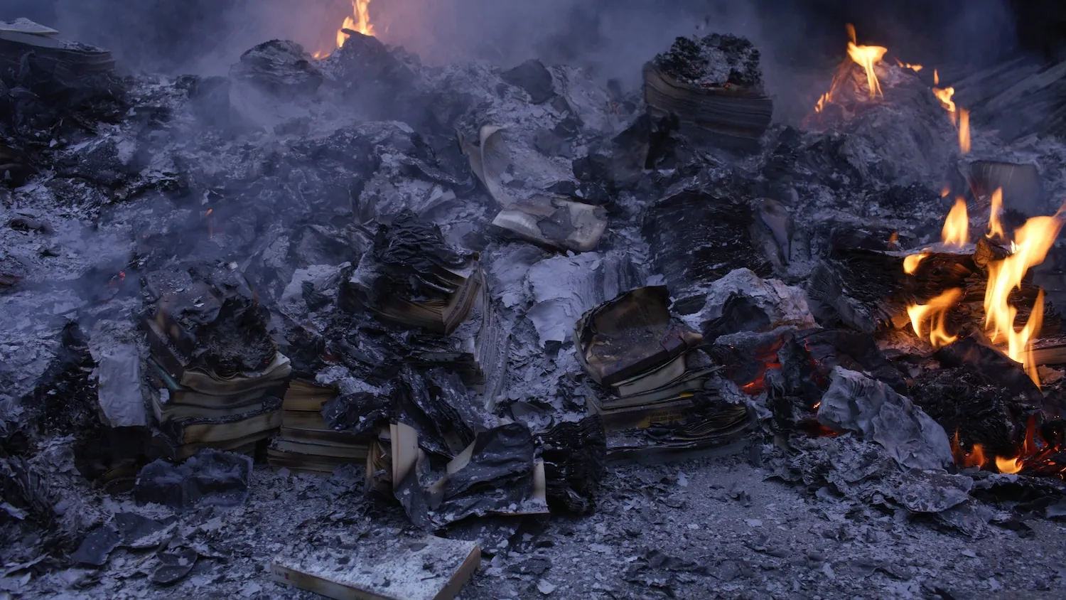 Jam Session: The Ishibashi Foundation Collection × FUJII Hikaru Whose Light?