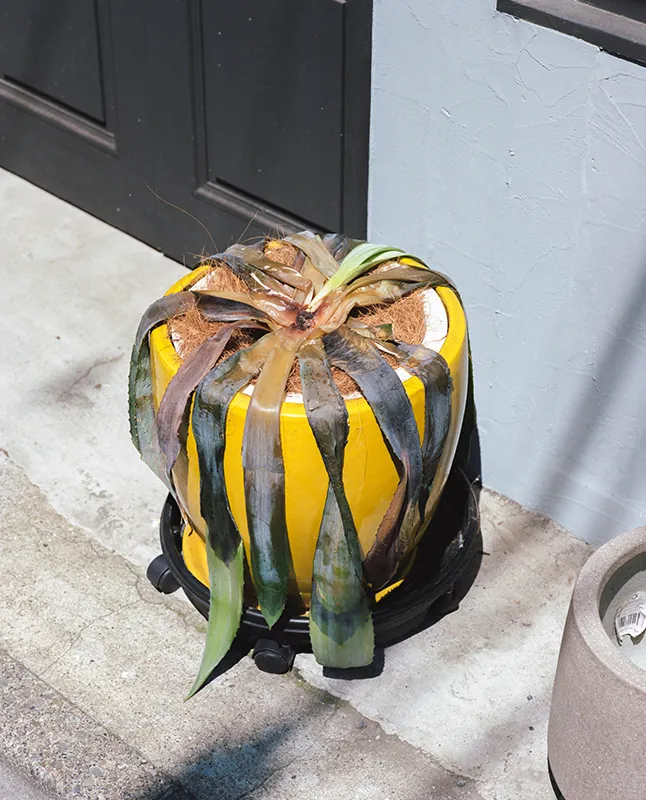 Jiachen Cai "Sunburn"