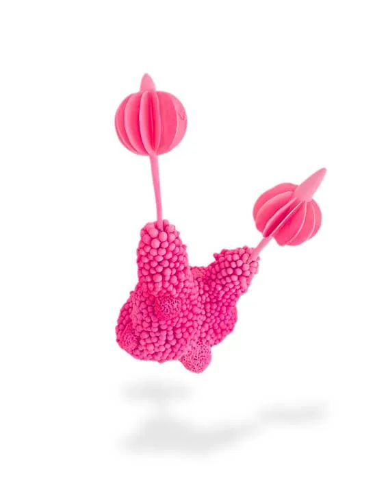 Tamaar Tóth Varjú Exhibition