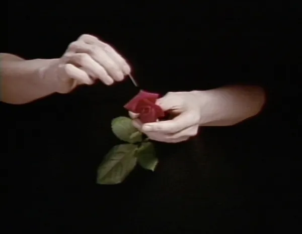 Idemitsu Mako What a woman made